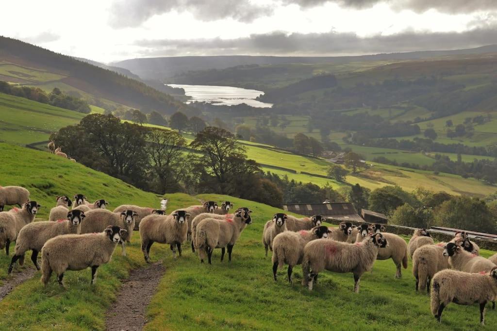 Wensleydale Halls Leyburn Buitenkant foto
